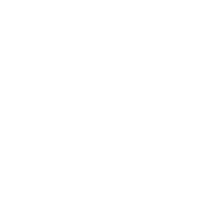 MARTIS Srl - SFS Srl - SEA FROZEN CONSULTING